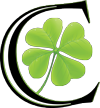 logo-clevermin2i